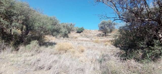 3 quarto Quinta/Casa Rural para venda em Velez-Malaga - 39 000 € (Ref: 9567995)