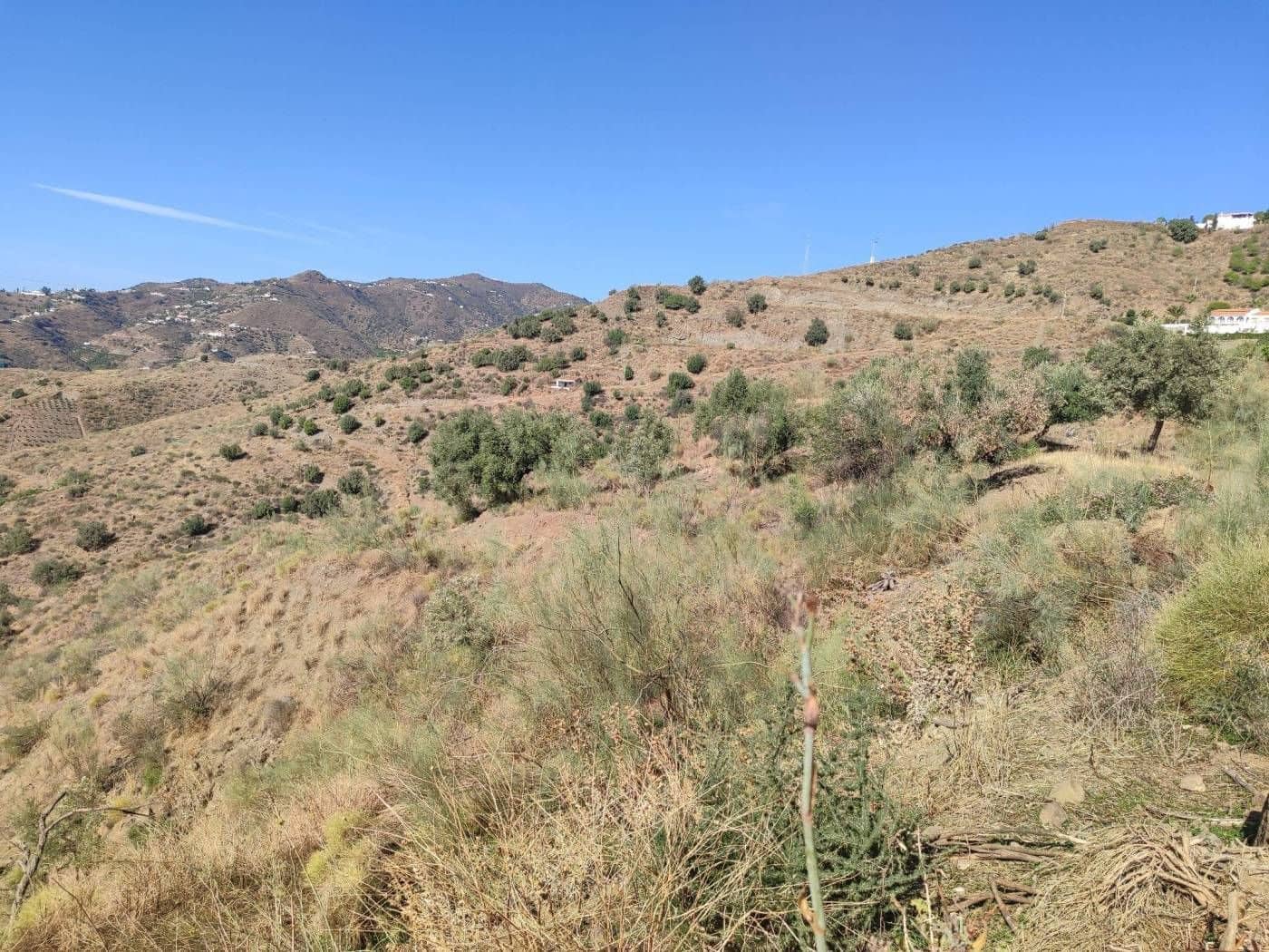 Finca/Country House for sale in Algarrobo - € 25,000 (Ref: 9567997)