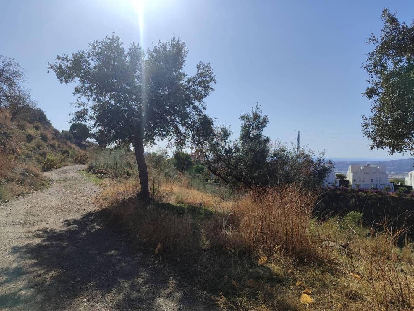 Finca/Country House for sale in Algarrobo - € 25,000 (Ref: 9567997)