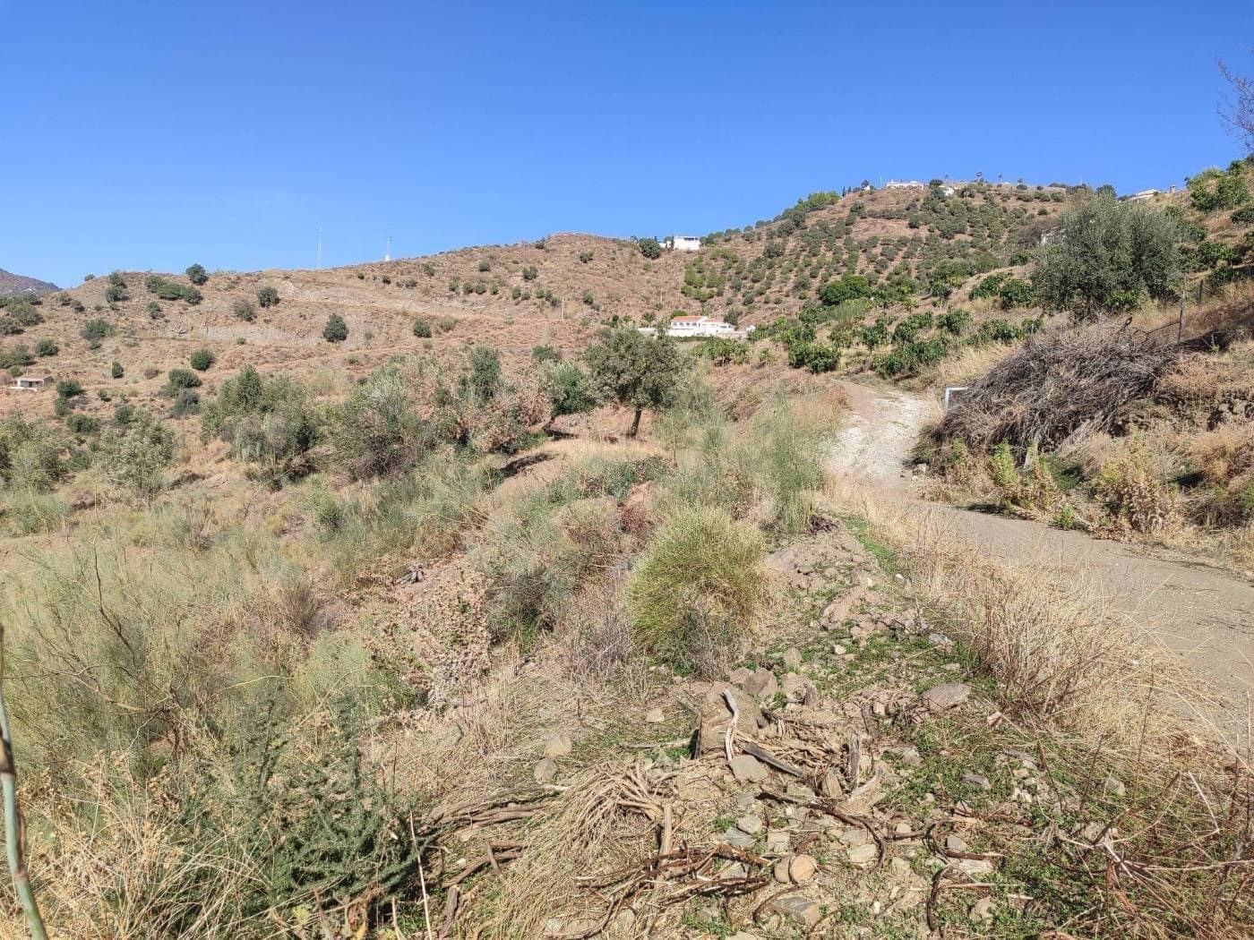 Finca/Country House for sale in Algarrobo - € 25,000 (Ref: 9567997)