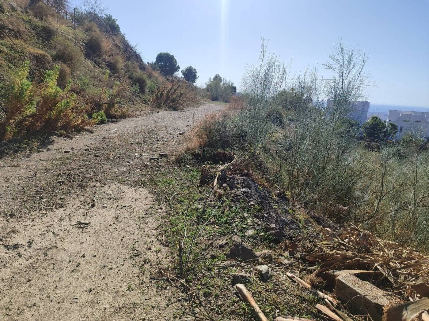 Finca/Country House for sale in Algarrobo - € 25,000 (Ref: 9567997)