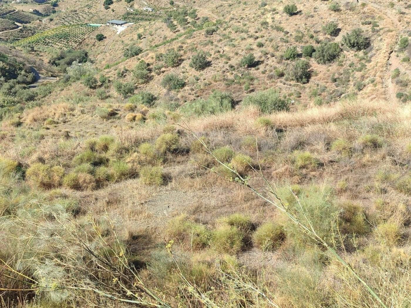 Finca/Country House for sale in Algarrobo - € 25,000 (Ref: 9567997)