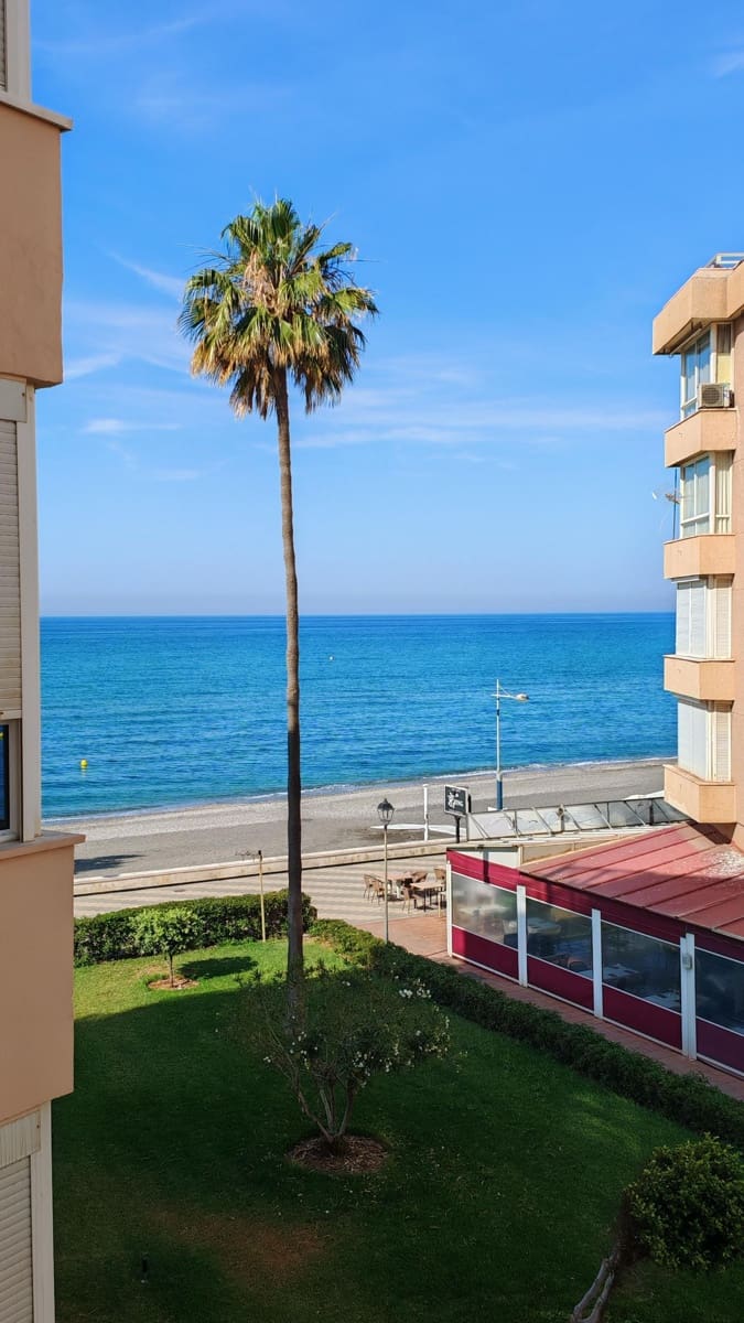 Appartement de 1 chambre à louer à Torrox-Costa - 690 € (Ref: 9893680)