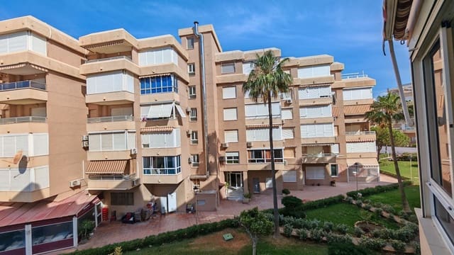 1 bedroom Apartment for rent in Centro Internacional, Torrox - € 690 (Ref: 9893680)