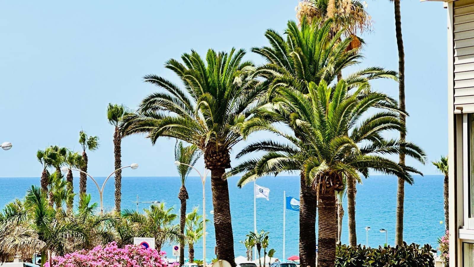 1 chambre Appartement à vendre à Torrox-Costa avec piscine - 249 000 € (Ref: 9959110)