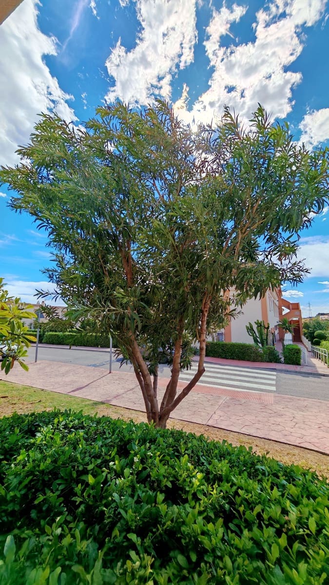 2 soveværelse Lejlighed til salg i Torrox Park med swimmingpool - € 219.000 (Ref: 9999516)