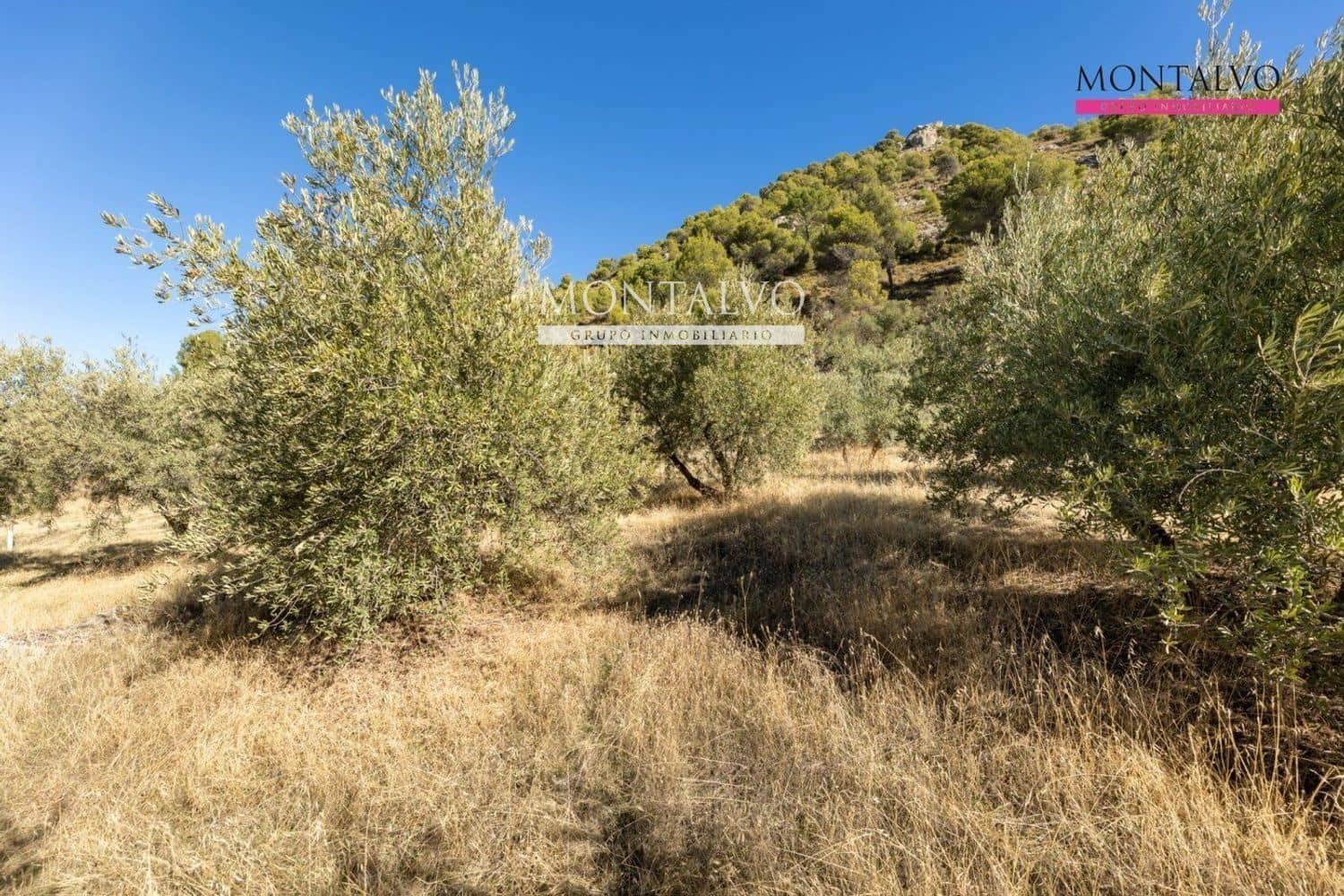 Byggetomt til salgs i Nivar - € 12 000 (Ref: 9398879)