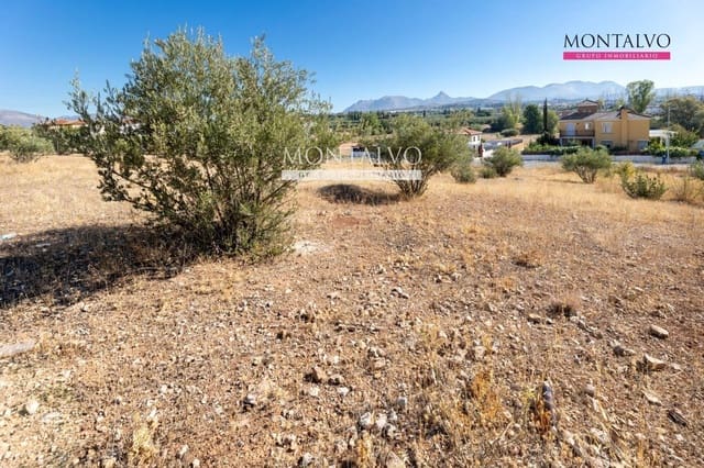 Building Plot for sale in Albolote - € 60,000 (Ref: 9398881)