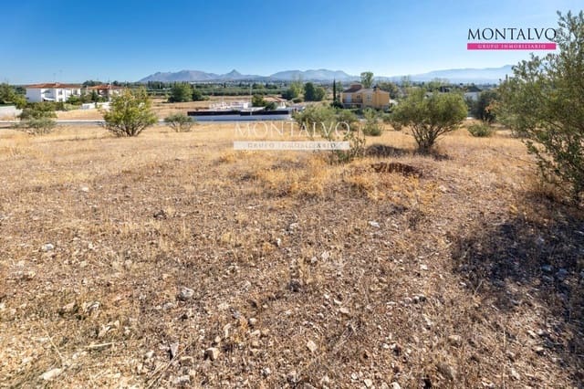 Building Plot for sale in Albolote - € 60,000 (Ref: 9398881)