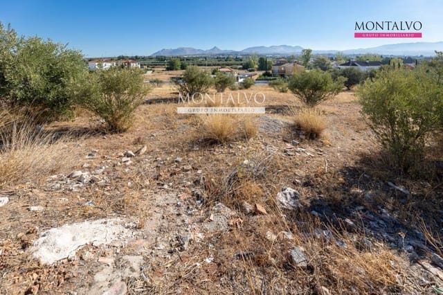 Building Plot for sale in Albolote - € 60,000 (Ref: 9398881)