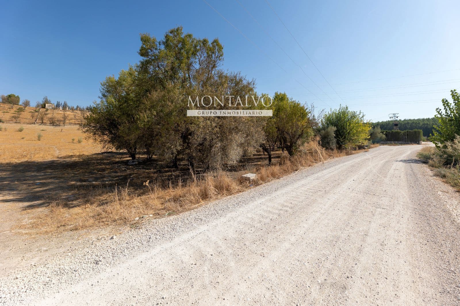 Byggegrund til salg i Pinos Puente - € 16.800 (Ref: 9398887)