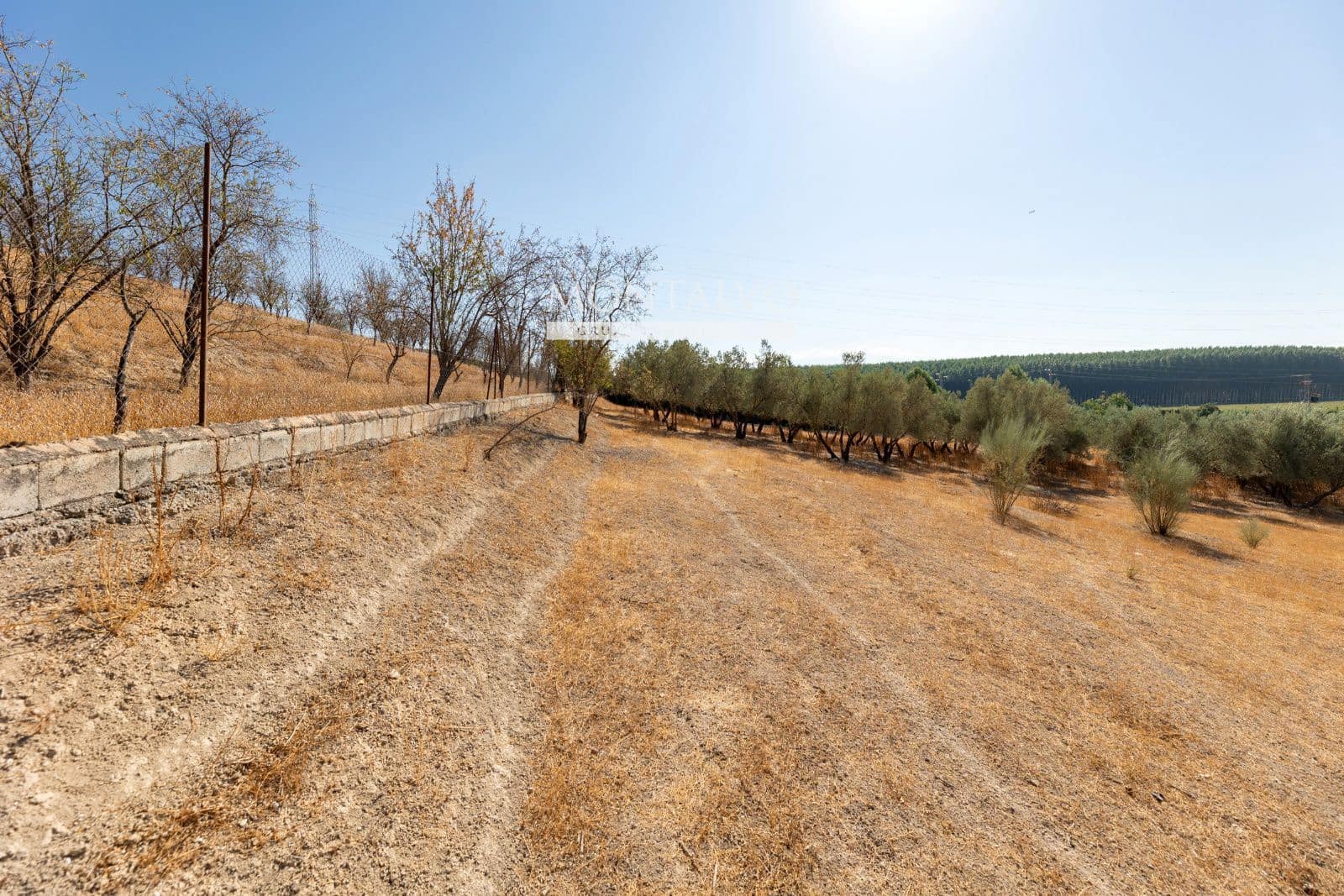 Byggegrund til salg i Pinos Puente - € 16.800 (Ref: 9398887)