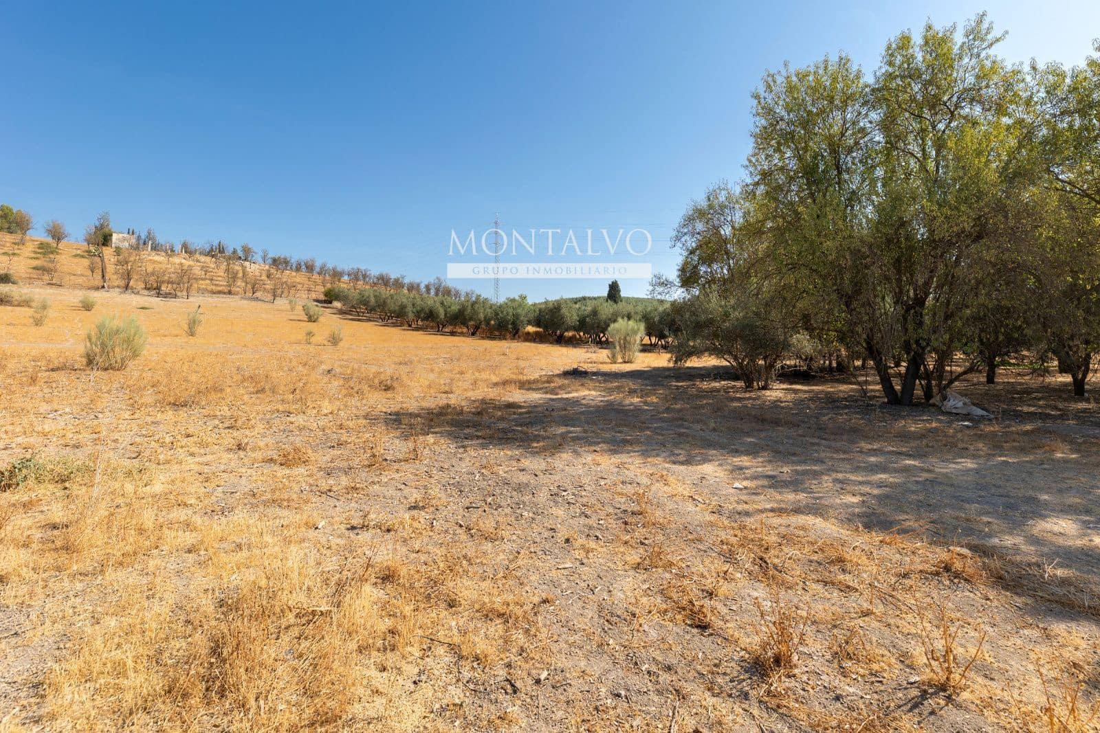 Byggegrund til salg i Pinos Puente - € 16.800 (Ref: 9398887)