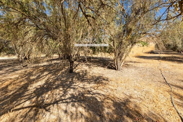 Byggegrund til salg i Pinos Puente - € 16.800 (Ref: 9398887)