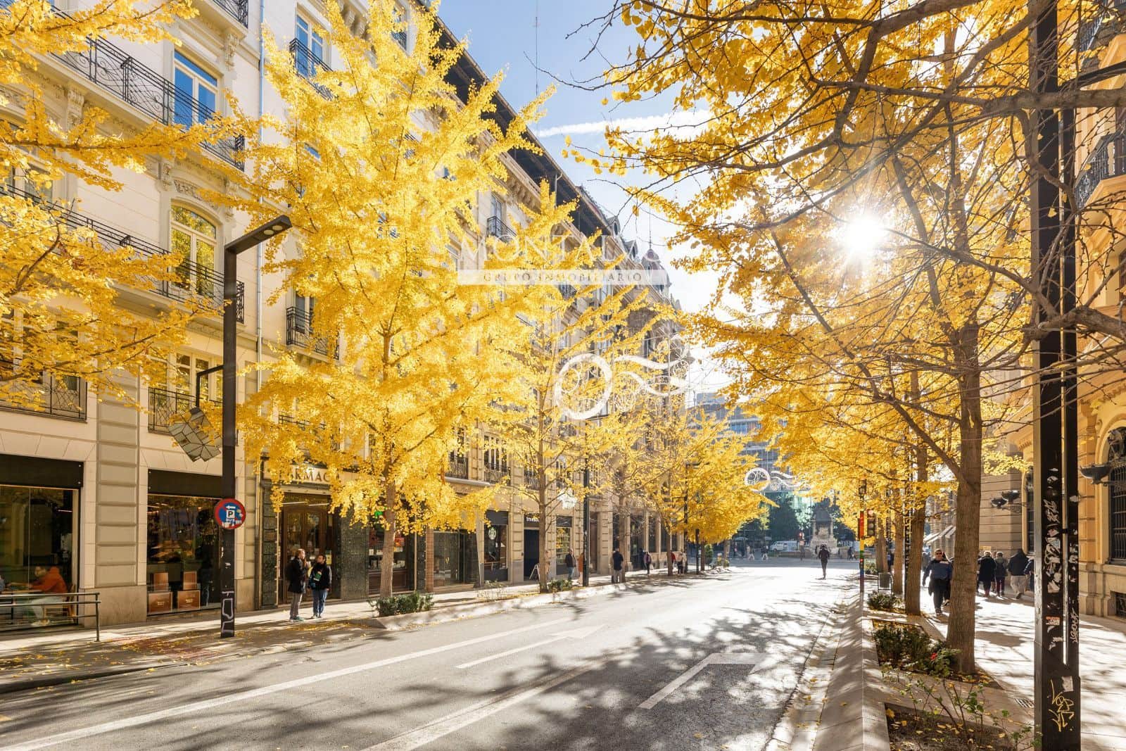 2 chambre Penthouse à vendre à Grenade ville - 750 000 € (Ref: 9447316)