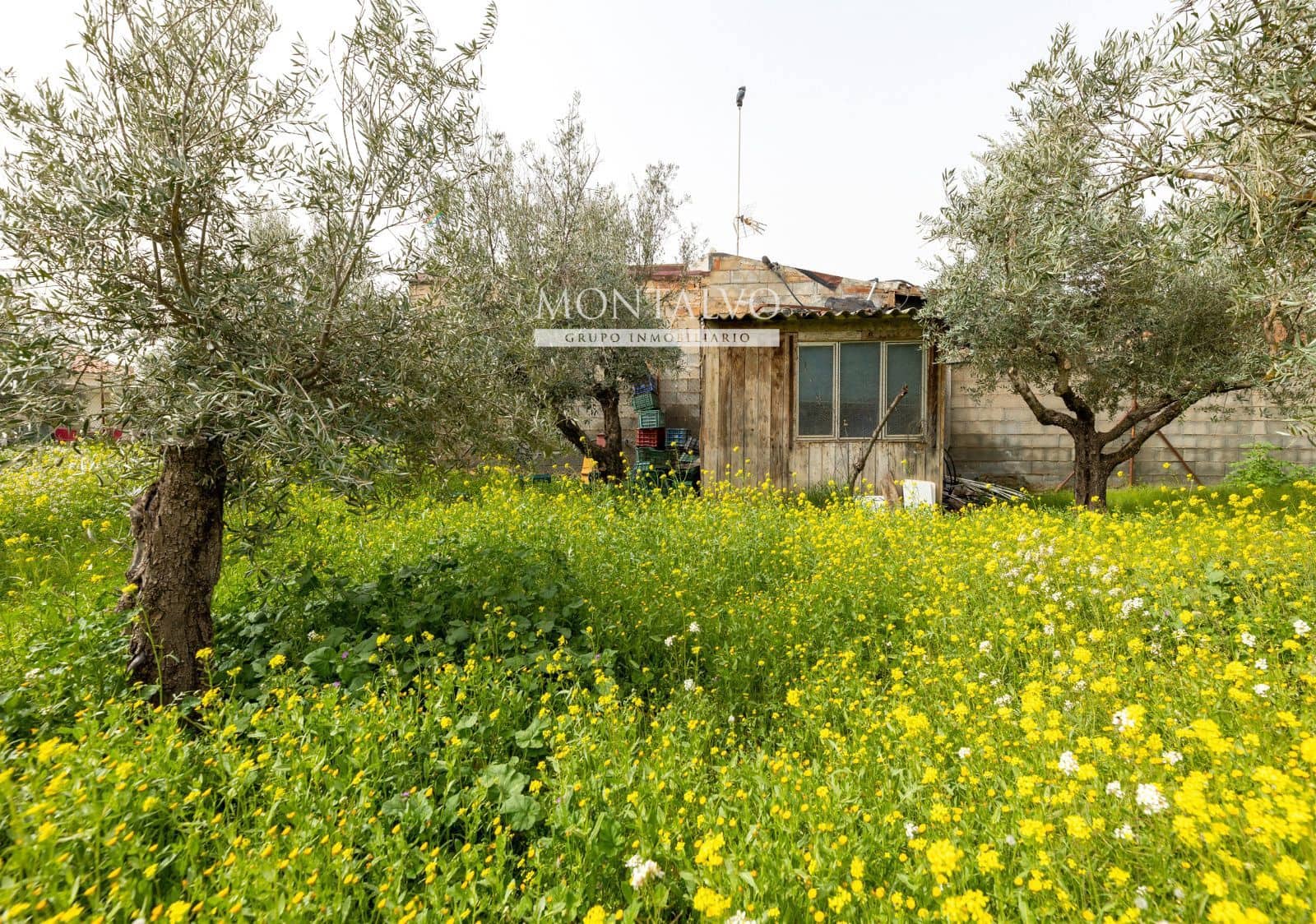 2 Zimmer Villa zu verkaufen in Santa Fe - 129.000 € (Ref: 9656517)