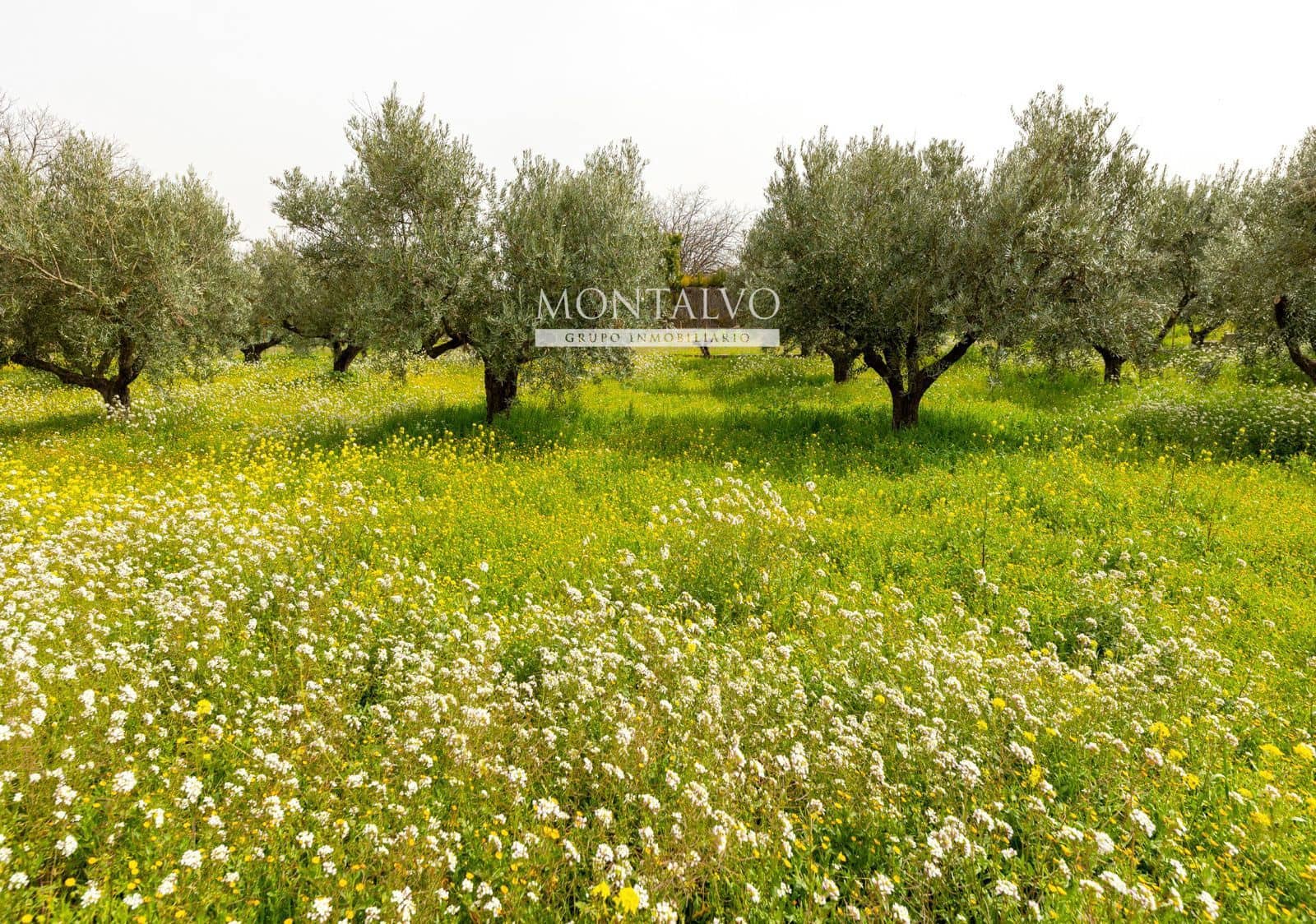 2 Zimmer Villa zu verkaufen in Santa Fe - 129.000 € (Ref: 9656517)