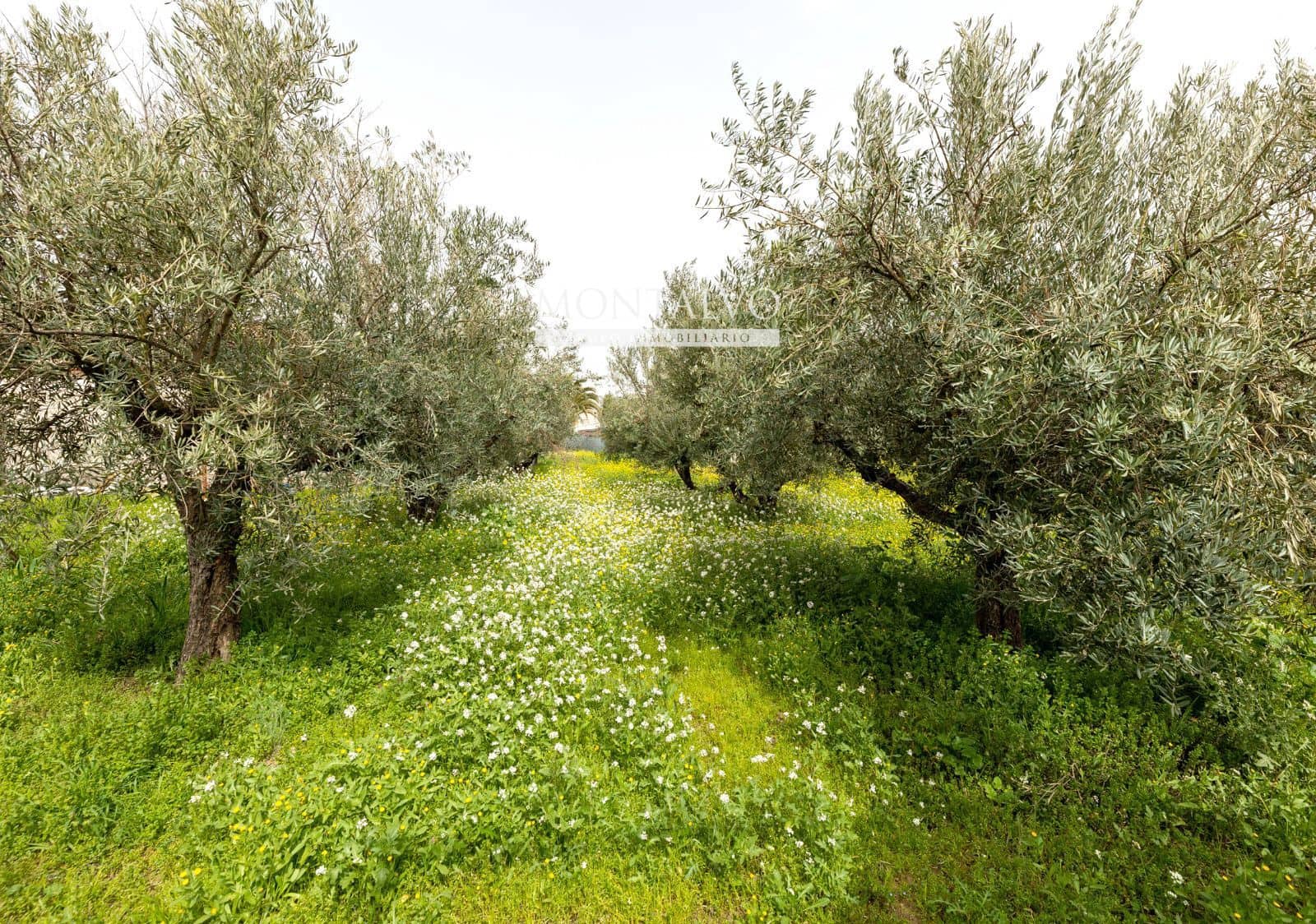 2 Zimmer Villa zu verkaufen in Santa Fe - 129.000 € (Ref: 9656517)