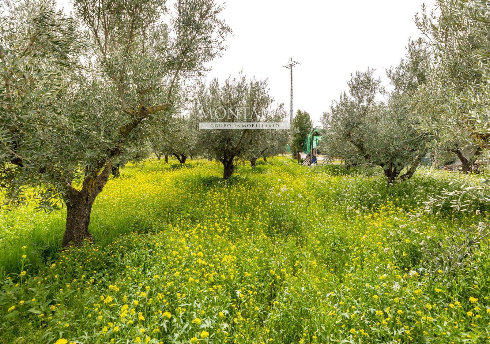 2 Zimmer Villa zu verkaufen in Santa Fe - 129.000 € (Ref: 9656517)