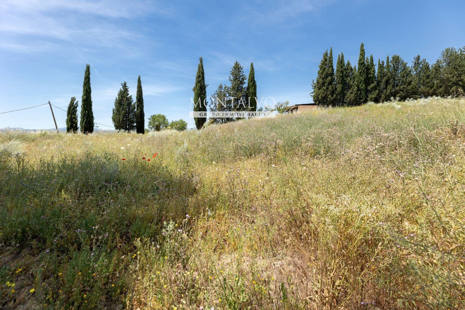 Tomt till salu i Pinos Puente - 29 900 € (Ref: 9906638)