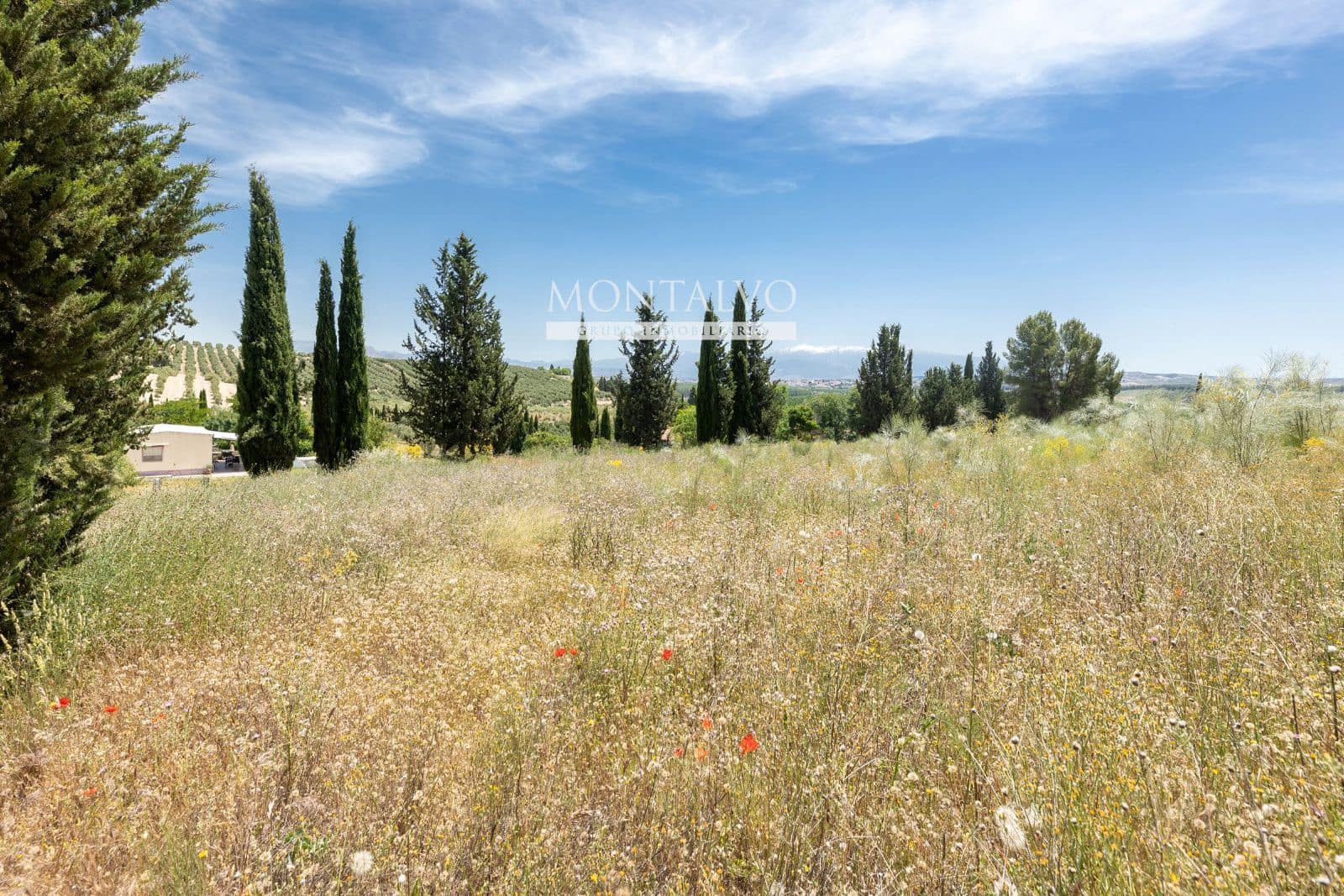 Tomt till salu i Pinos Puente - 29 900 € (Ref: 9906638)