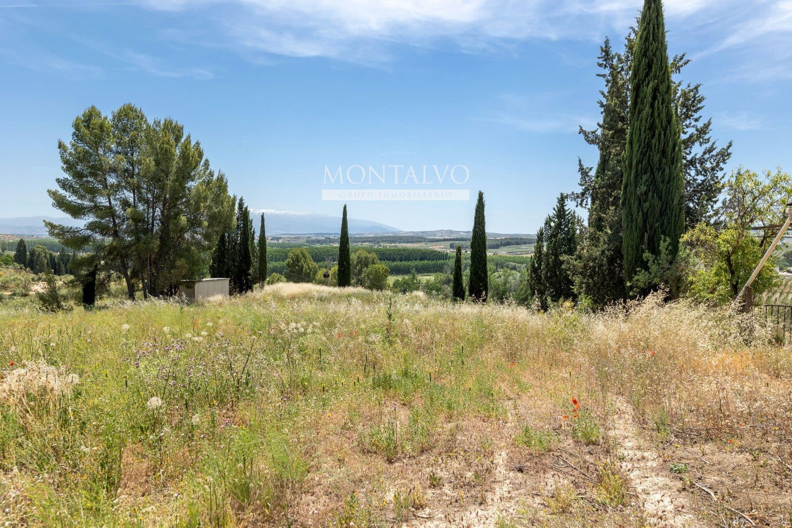 Tomt till salu i Pinos Puente - 29 900 € (Ref: 9906638)