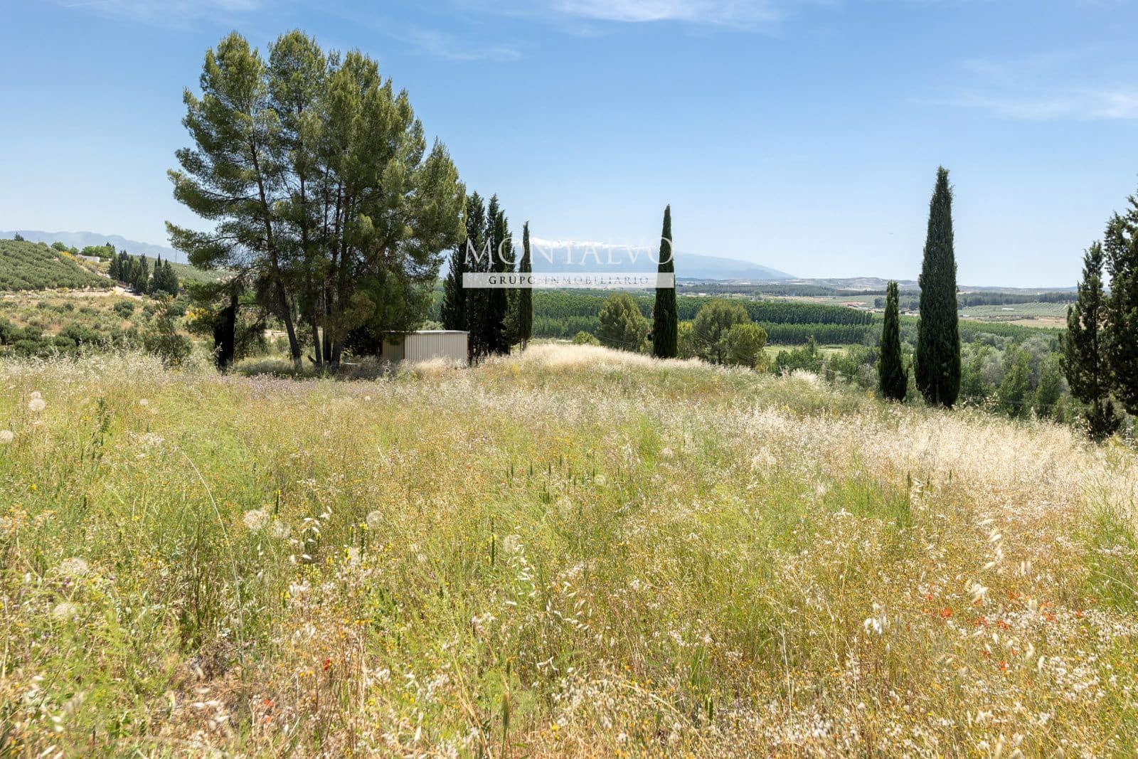 Tomt till salu i Pinos Puente - 29 900 € (Ref: 9906638)
