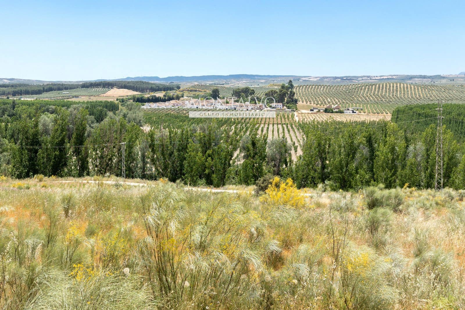 Tomt till salu i Pinos Puente - 29 900 € (Ref: 9906638)