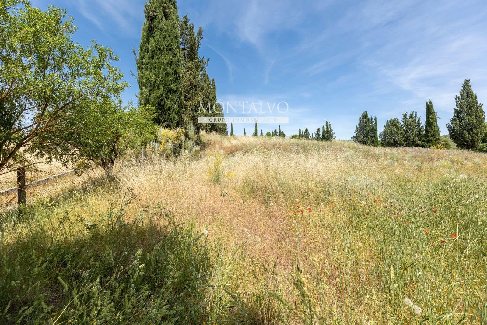 Tomt till salu i Pinos Puente - 29 900 € (Ref: 9906638)
