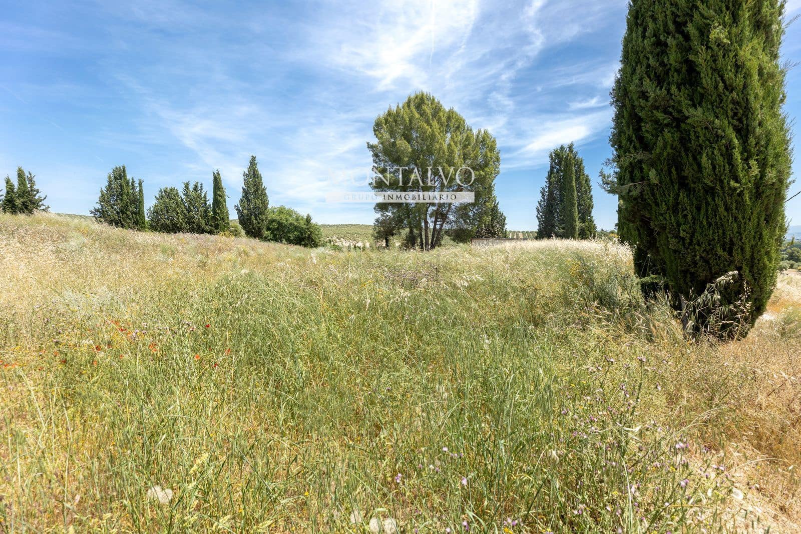 Tomt till salu i Pinos Puente - 29 900 € (Ref: 9906638)