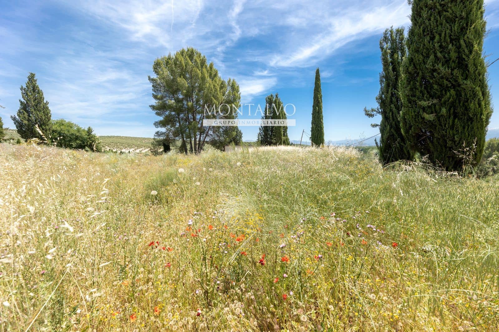 Tomt till salu i Pinos Puente - 29 900 € (Ref: 9906638)