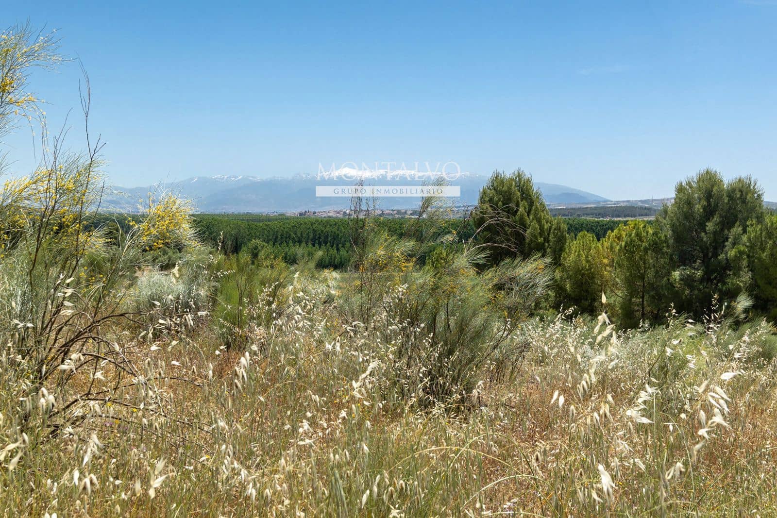 Tomt till salu i Pinos Puente - 29 900 € (Ref: 9906638)
