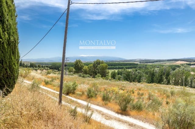 Tomt till salu i Pinos Puente - 29 900 € (Ref: 9906638)