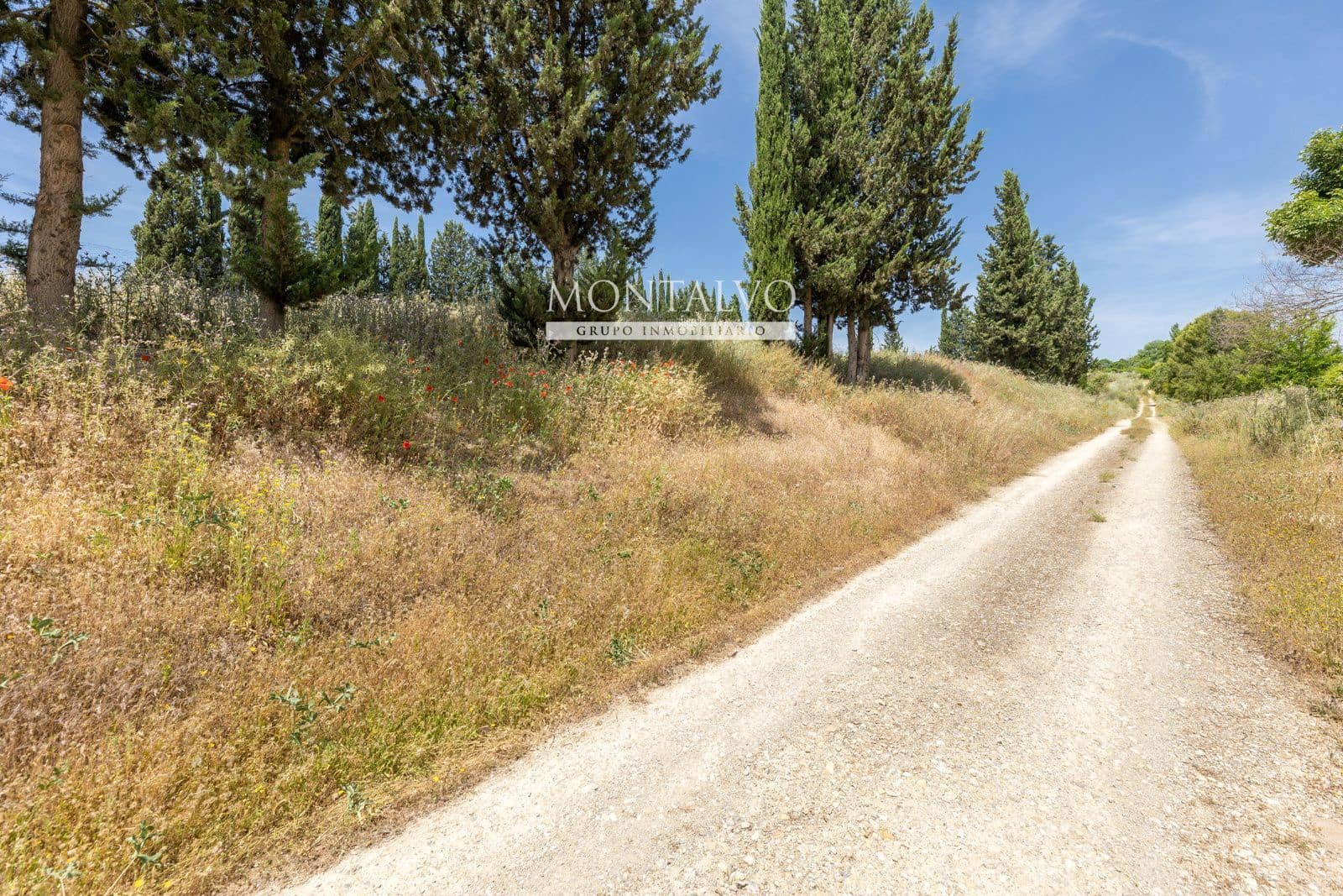 Tomt till salu i Pinos Puente - 29 900 € (Ref: 9906638)