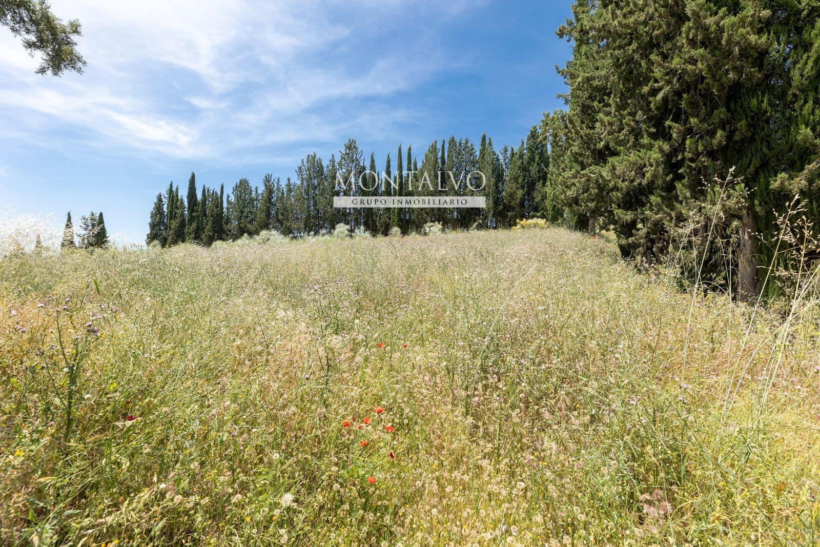 Tomt till salu i Pinos Puente - 29 900 € (Ref: 9906638)
