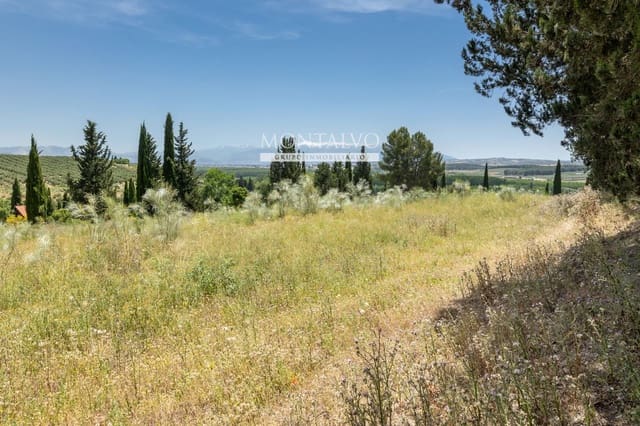Tomt till salu i Pinos Puente - 29 900 € (Ref: 9906638)