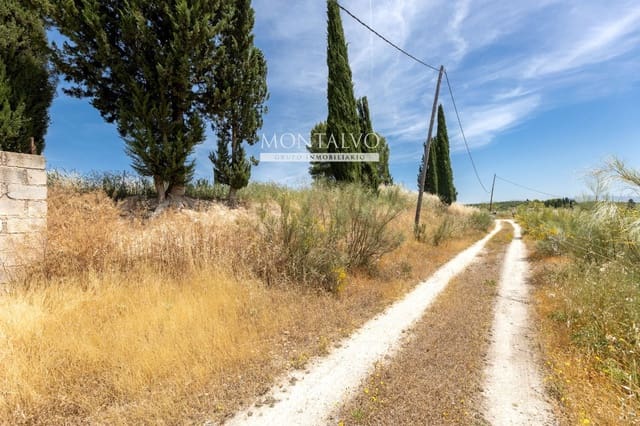 Tomt till salu i Pinos Puente - 29 900 € (Ref: 9906638)