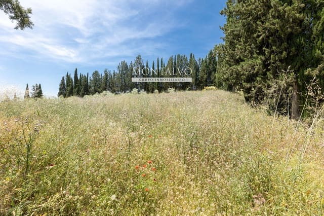 Tomt till salu i Pinos Puente - 29 900 € (Ref: 9906638)