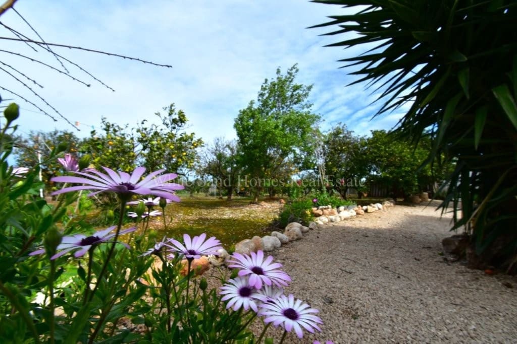 4 soveværelse Finca/Landehus til salg i Oliva de Merida med swimmingpool garage - € 499.000 (Ref: 8845649)