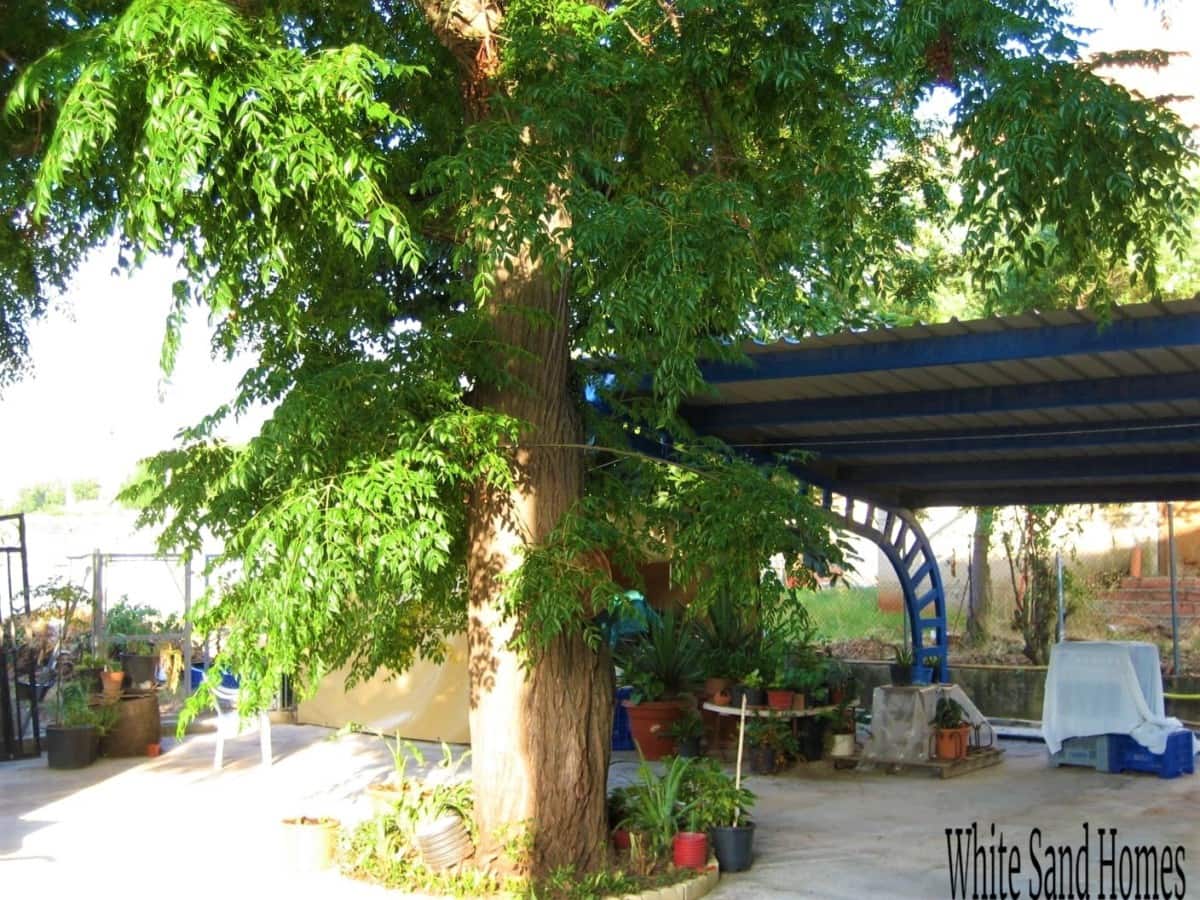 6 slaapkamer Finca/Landhuis te koop in Marchuquera met zwembad garage - € 299.999 (Ref: 9995354)