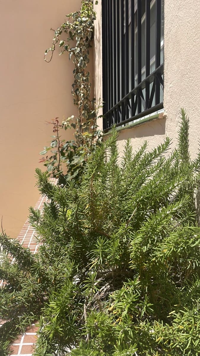 3 soveværelse Rækkehus til leje i Fuengirola med swimmingpool - € 1.600 (Ref: 4300298)