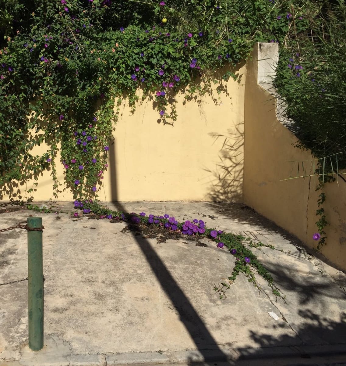 3 soveværelse Rækkehus til leje i Fuengirola med swimmingpool - € 1.600 (Ref: 4300298)