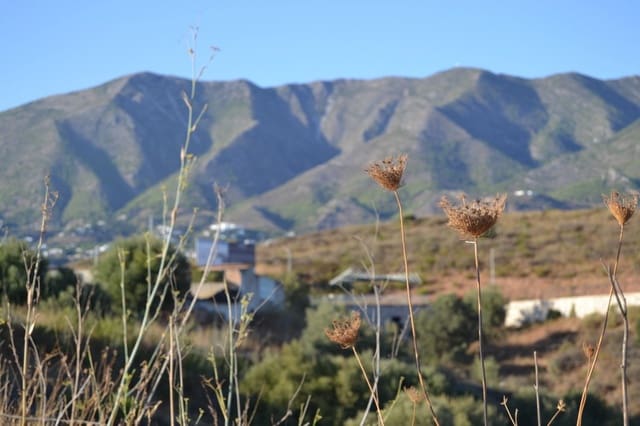 Bouwgrond te koop in Mijas Golf, Mijas - € 130.000 (Ref: 6526228)