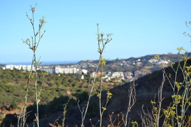 Bouwgrond te koop in Mijas Golf, Mijas - € 120.000 (Ref: 6526229)