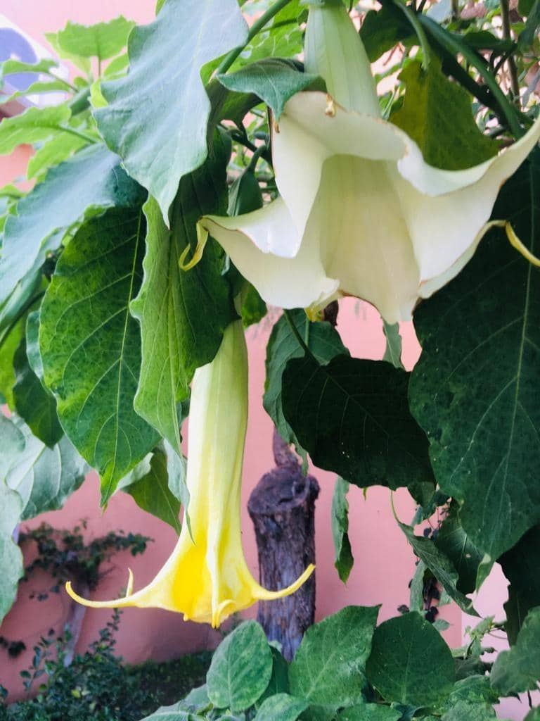 2 chambre Appartement à vendre à Riviera del Sol avec piscine - 289 000 € (Ref: 8988656)