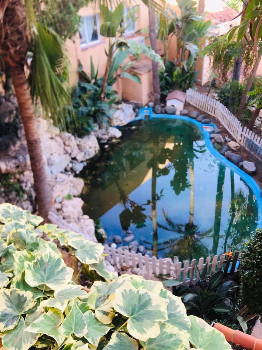 2 chambre Appartement à vendre à Riviera del Sol avec piscine - 289 000 € (Ref: 8988656)