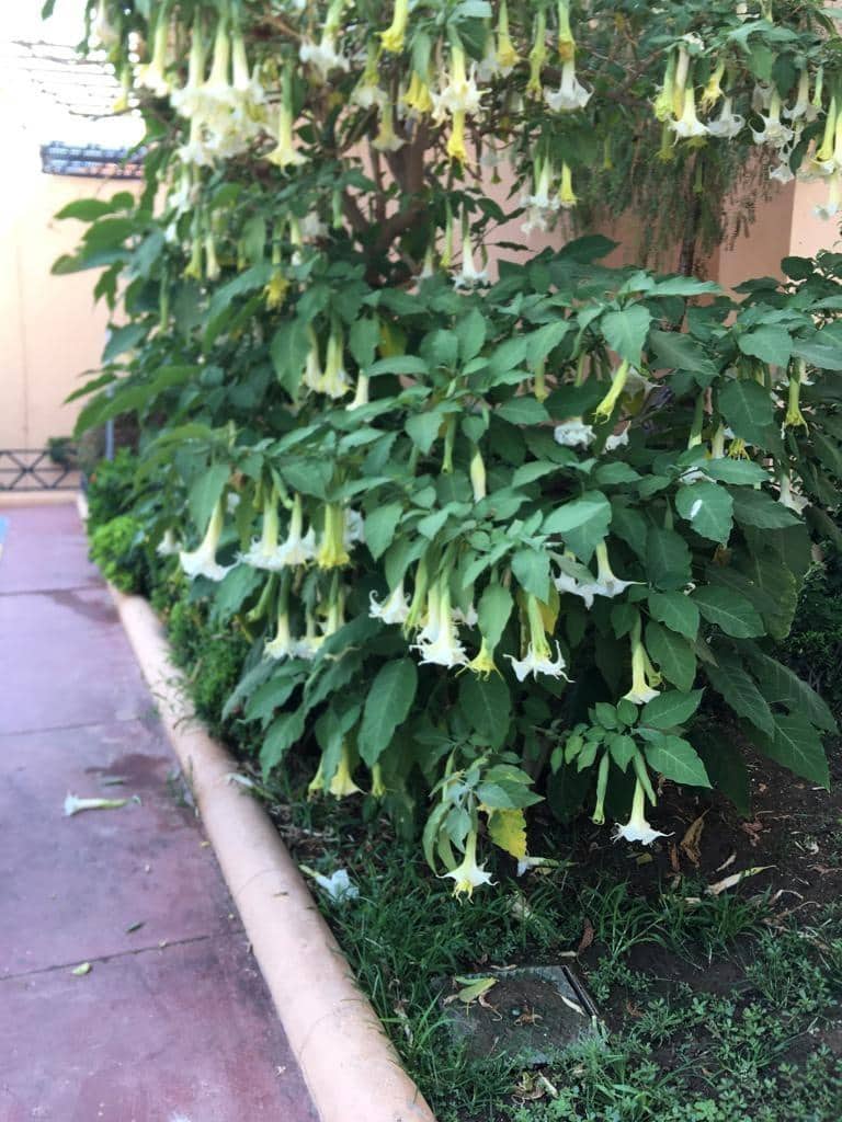 2 chambre Appartement à vendre à Riviera del Sol avec piscine - 289 000 € (Ref: 8988656)