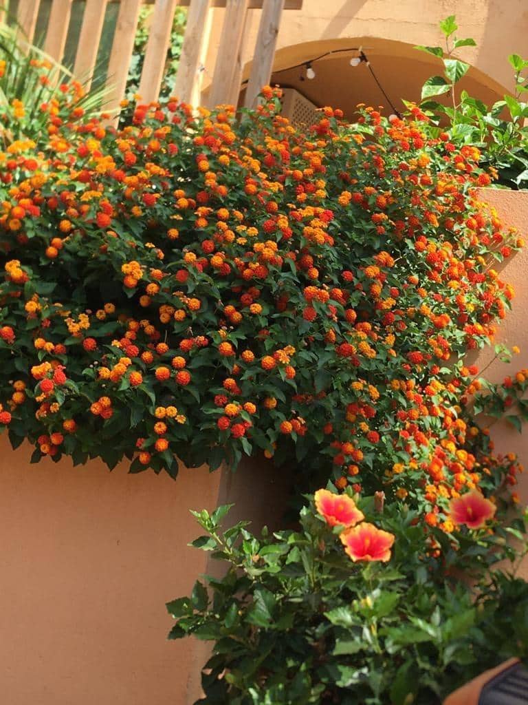 2 chambre Appartement à vendre à Riviera del Sol avec piscine - 289 000 € (Ref: 8988656)