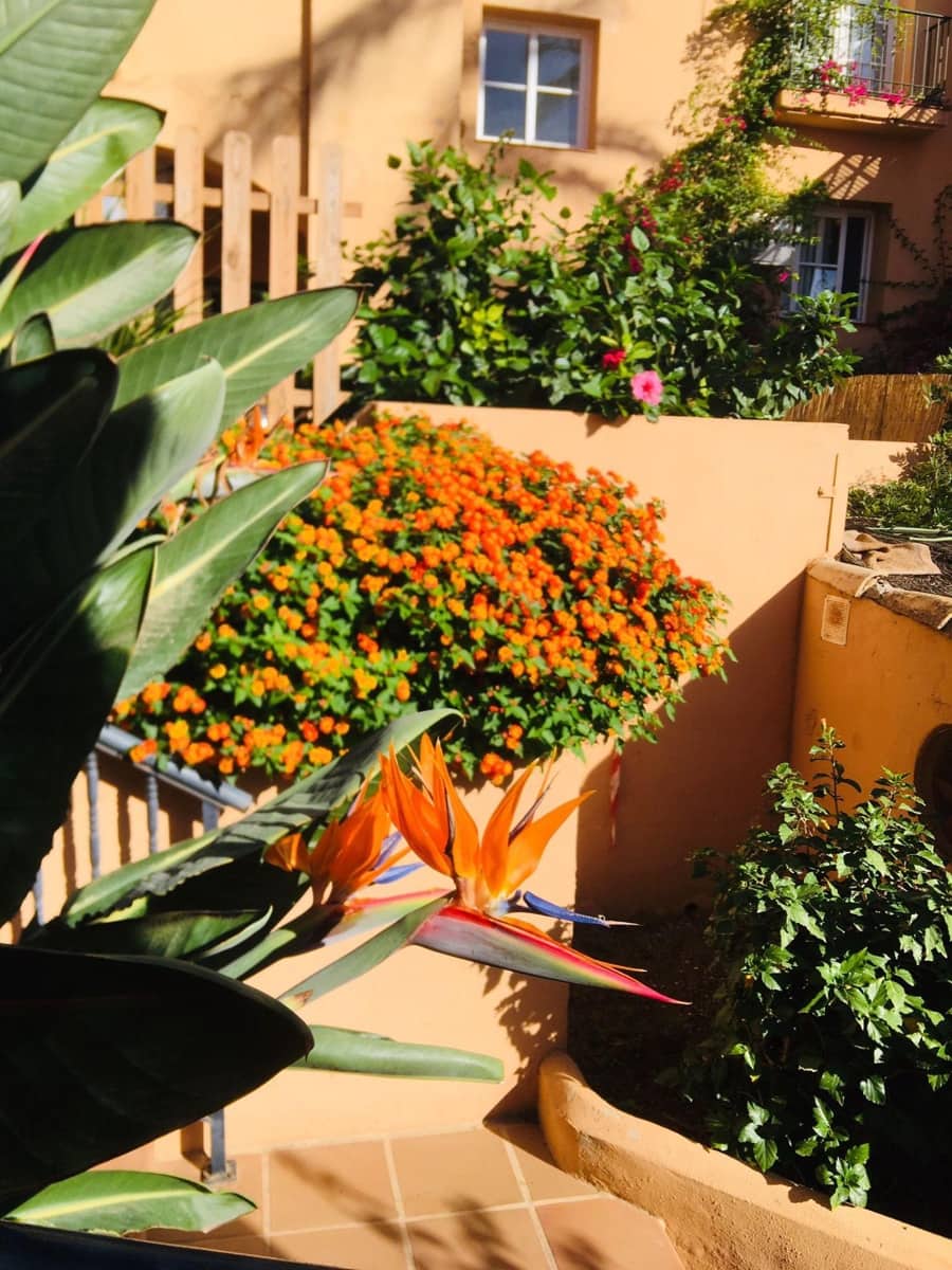 2 chambre Appartement à vendre à Riviera del Sol avec piscine - 289 000 € (Ref: 8988656)