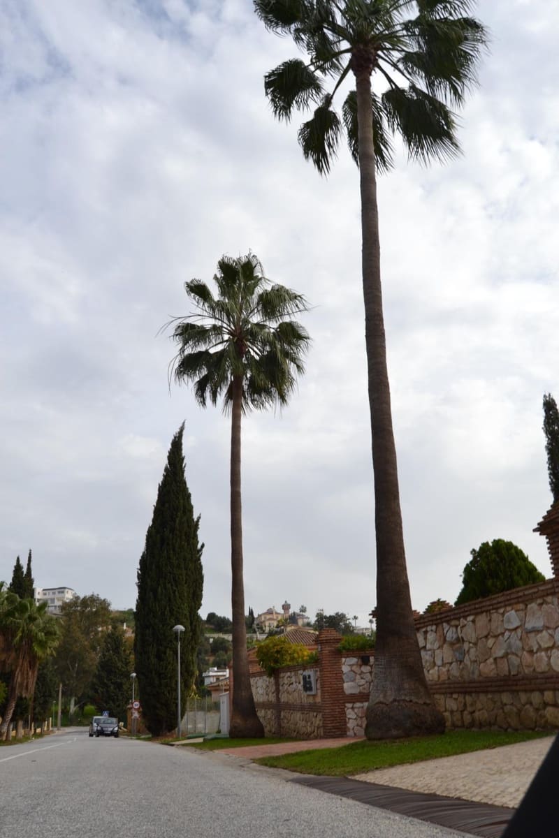 3 slaapkamer Appartement te koop in Mijas Golf met zwembad garage - € 267.750 (Ref: 9103010)